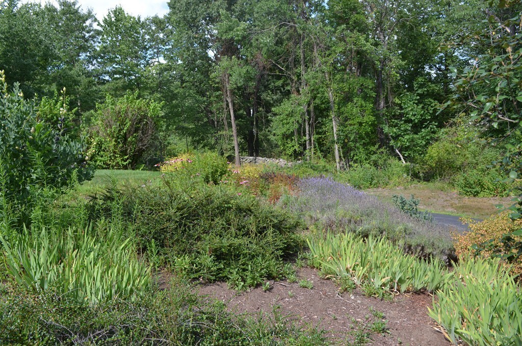 30 Mill Road Harvard, MA 01451 - Photo 19 of 21 a view of a lush green forest with lots of trees