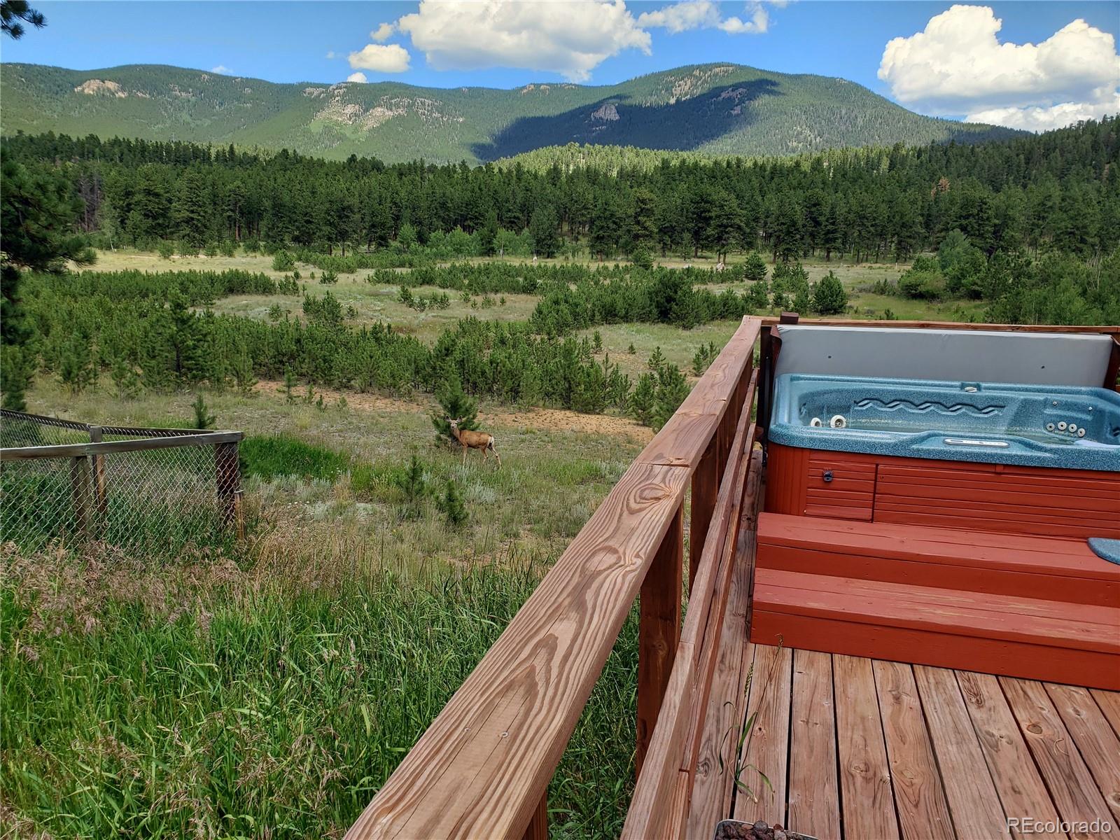 88 Neal Street Bailey, CO 80421 - Photo 11 of 23