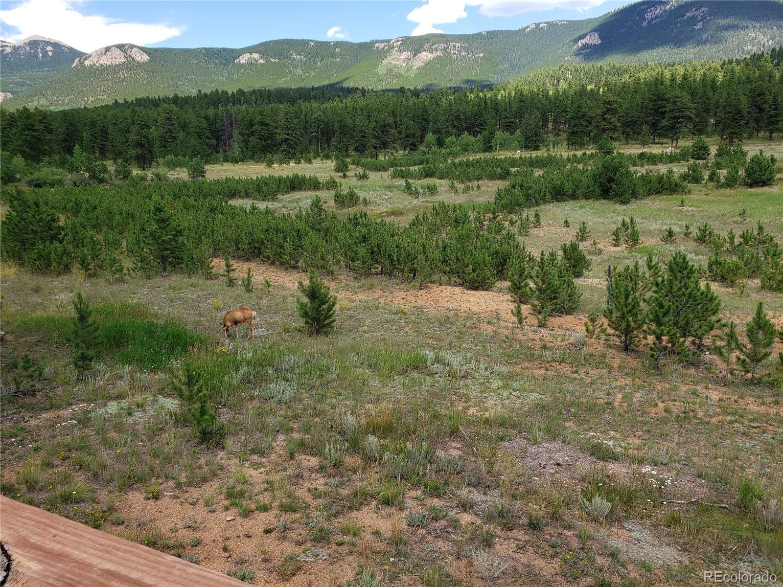 88 Neal Street Bailey, CO 80421 - Photo 8 of 23