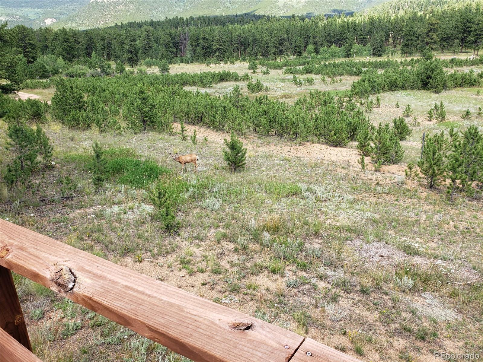 88 Neal Street Bailey, CO 80421 - Photo 10 of 23