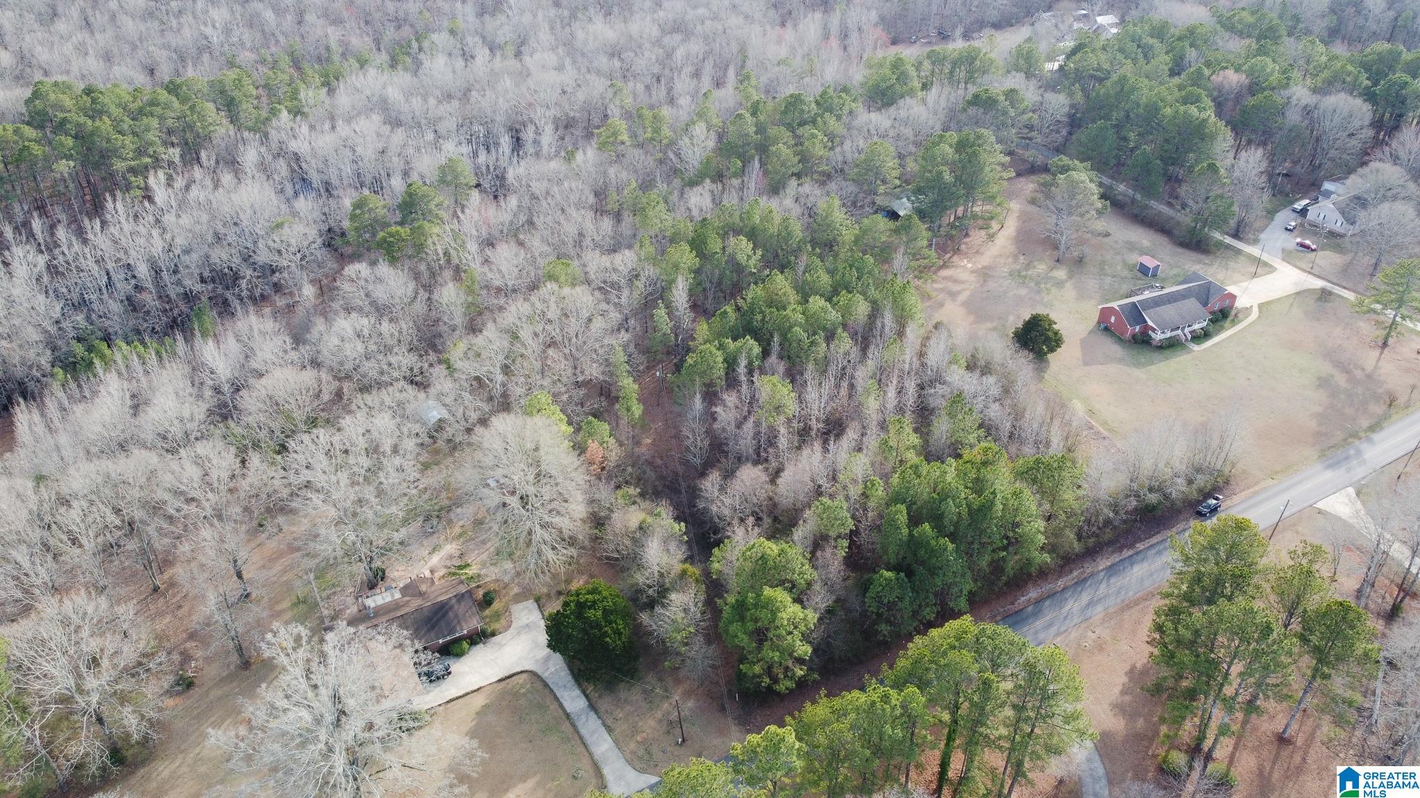 0 Deer Trace Road, Unit 30 Pell City, AL 35125 - Photo 4 of 11