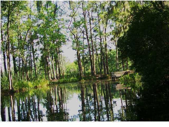 116 Castlebury Road Walterboro, SC 29488 - Photo 1 of 12 Primary Photo