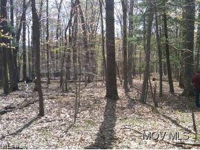 0 Bear Run Road Cairo, WV 26337 - Photo 18 of 24