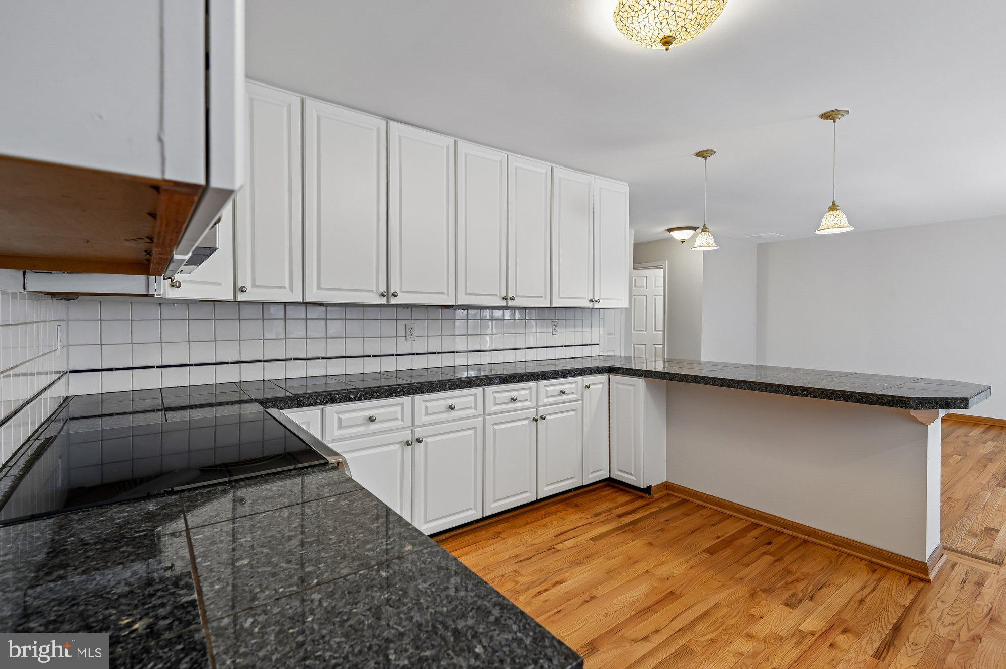 5106 Thunder Hill Road Columbia, MD 21045 - Photo 16 of 57 Kitchen