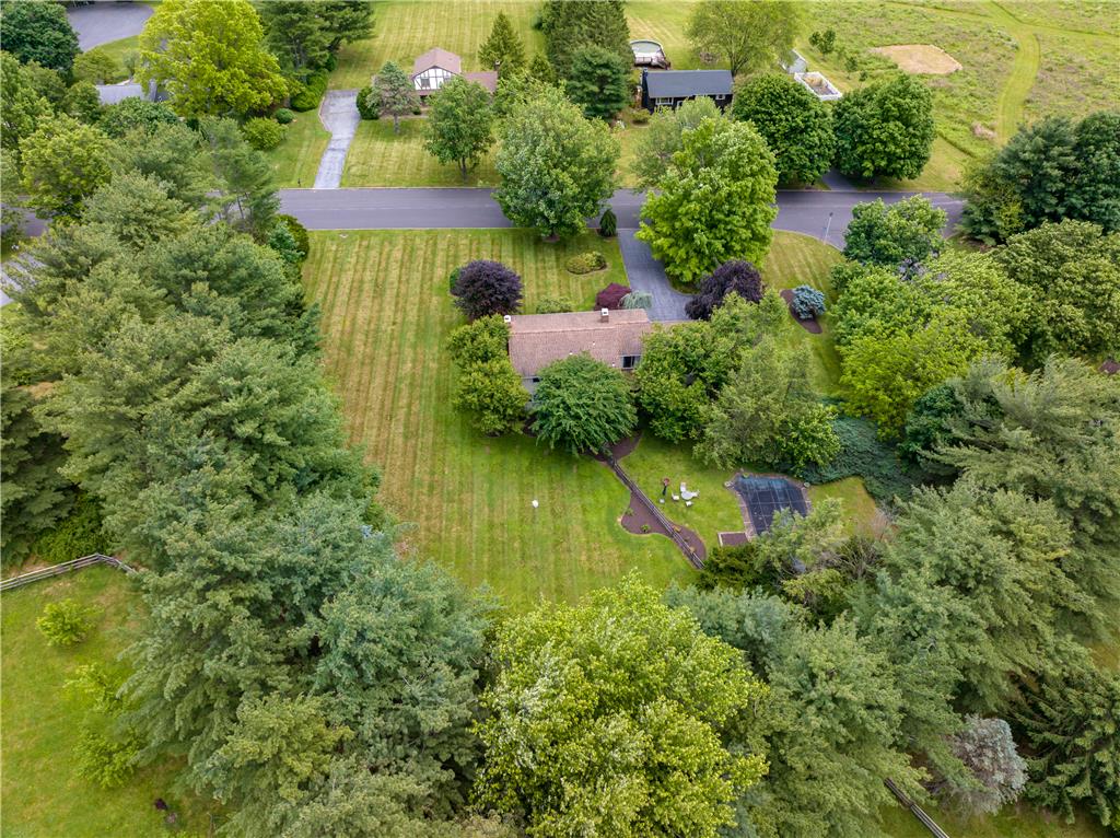 2516 Rachael Lane Orefield, PA 18069 - Photo 44 of 45 An aerial perspective reveals a secluded residence embraced by mature trees and lush green spaces.