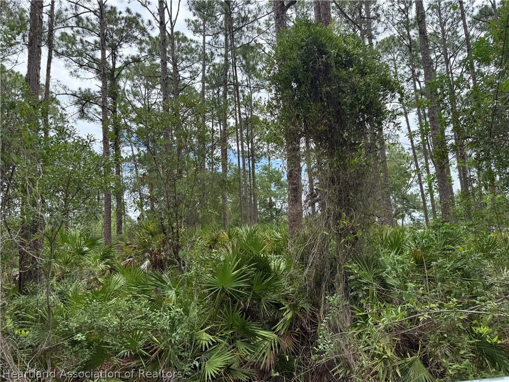 5708 Hazel Road Sebring, FL 33875 - Photo 2 of 8
