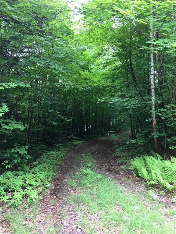 183 Weld Road Phillips, ME 04966 - Photo 15 of 21 driveway