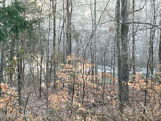 $94,000 | 2.28-acres Pates Ford Road, Walling, TN 38587