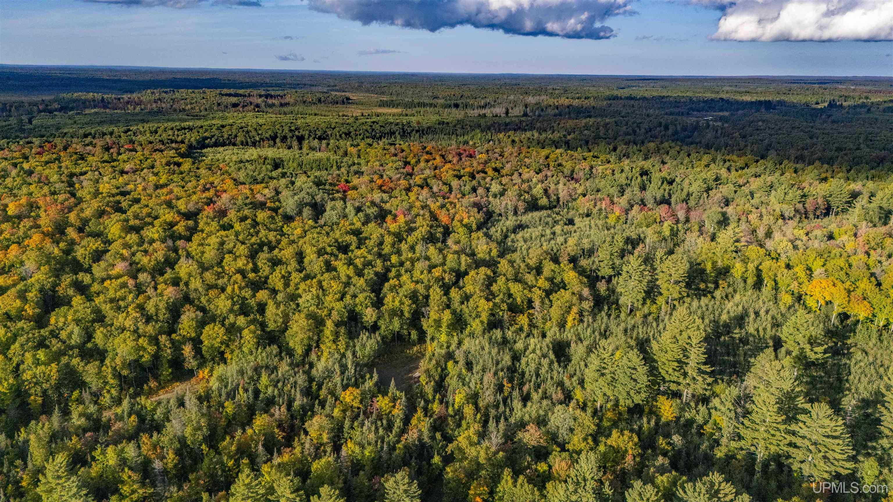 Tbd Luke Road Amasa, MI 49903 - Photo 28 of 64