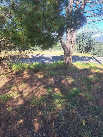 $15,000 | 16125 14th Avenue, Clearlake, CA 95422