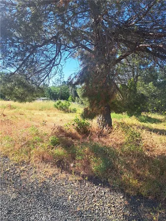 $15,000 | 16125 14th Avenue, Clearlake, CA 95422