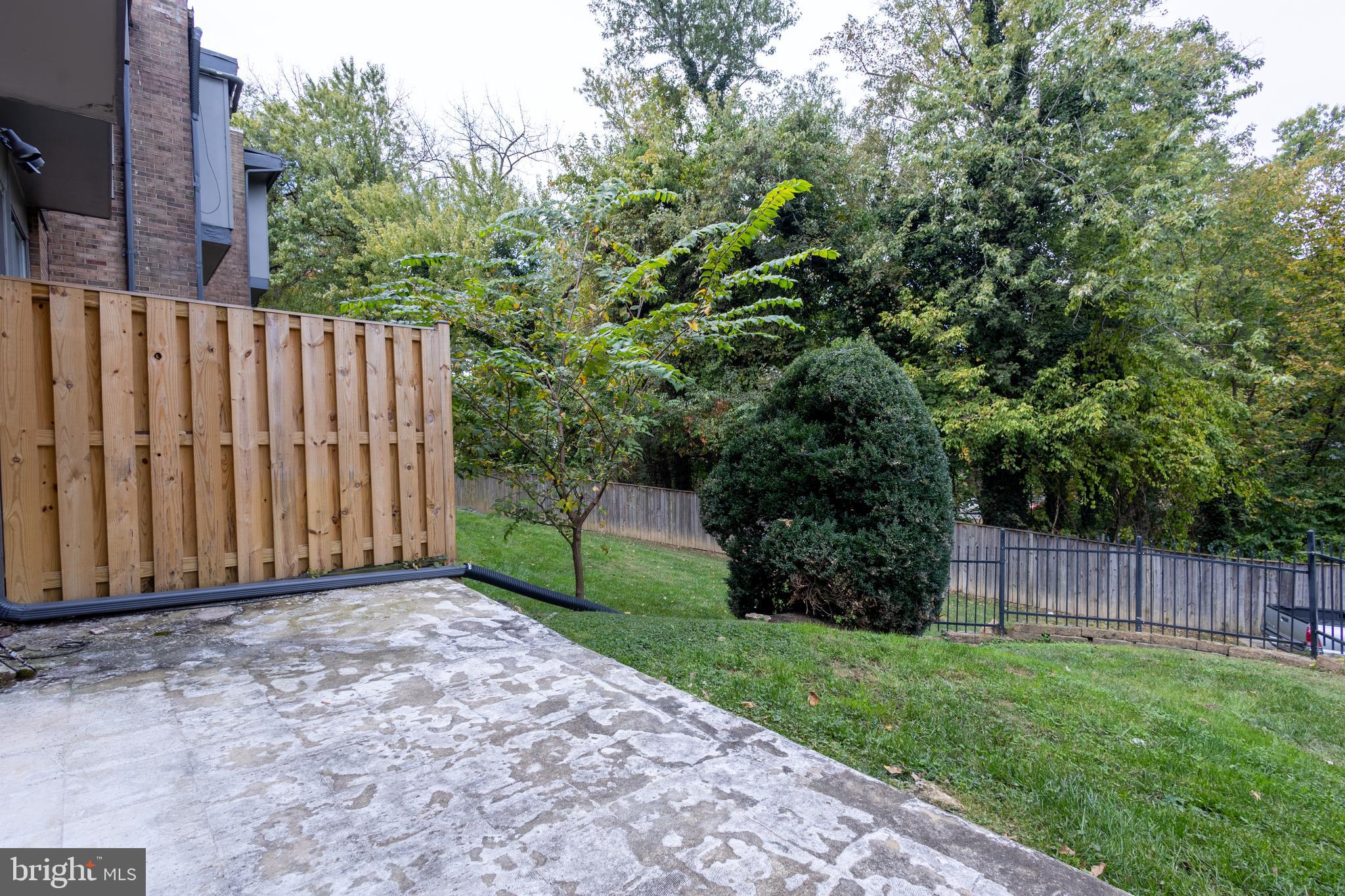 3332 Claridge Court Silver Spring, MD 20902 - Photo 28 of 30 a view of a backyard with large trees and wooden fence