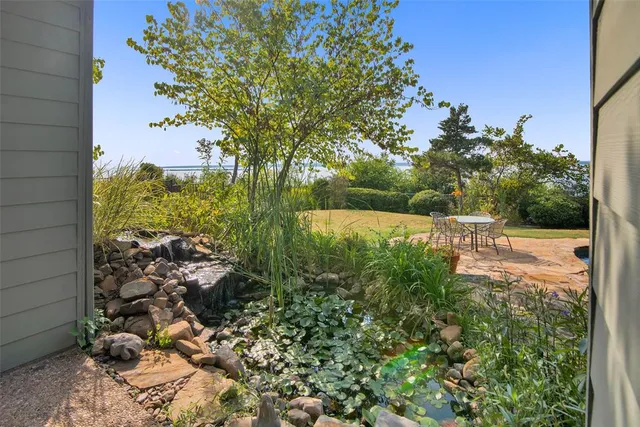 a view of a yard with plants and a large tree