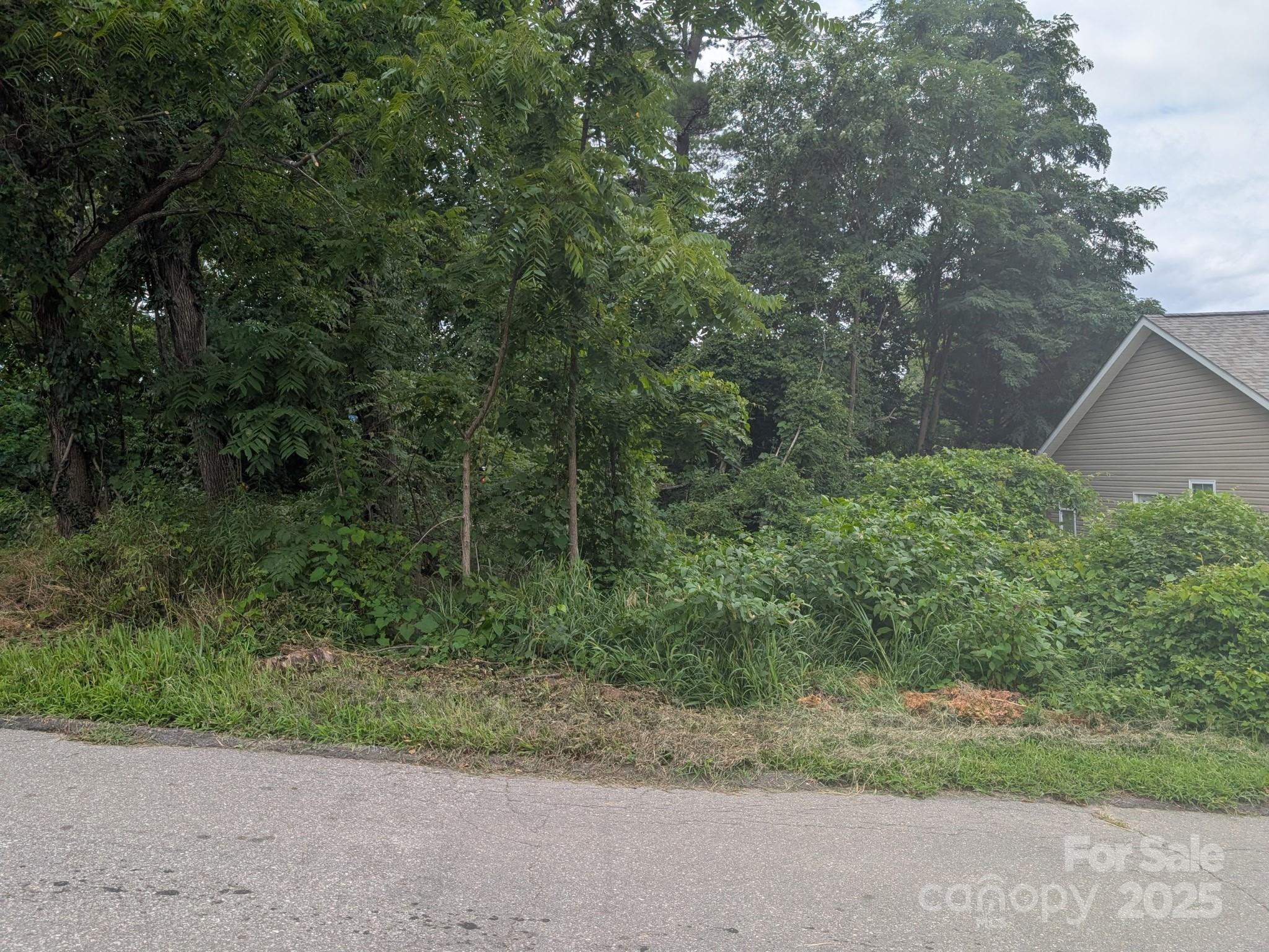 0 Booker Street Asheville, NC 28803 - Photo 2 of 3 a view of a yard with a trees