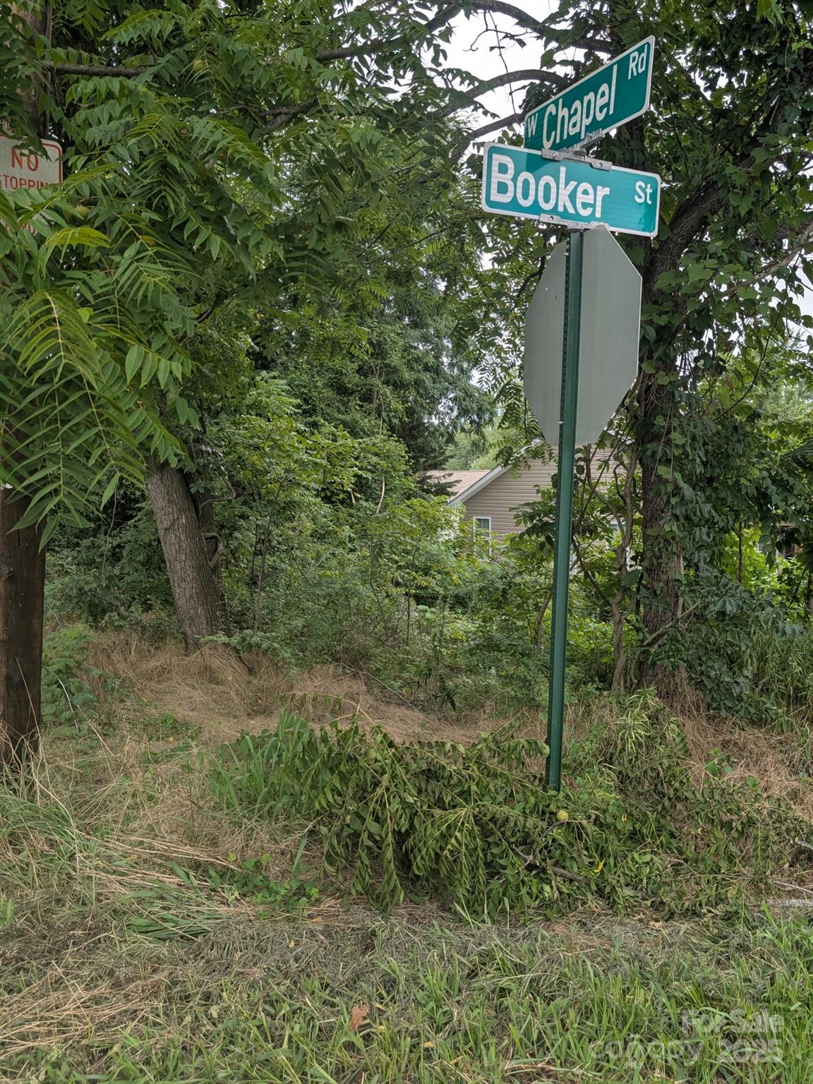 0 Booker Street Asheville, NC 28803 - Photo 3 of 3 a view of a forest