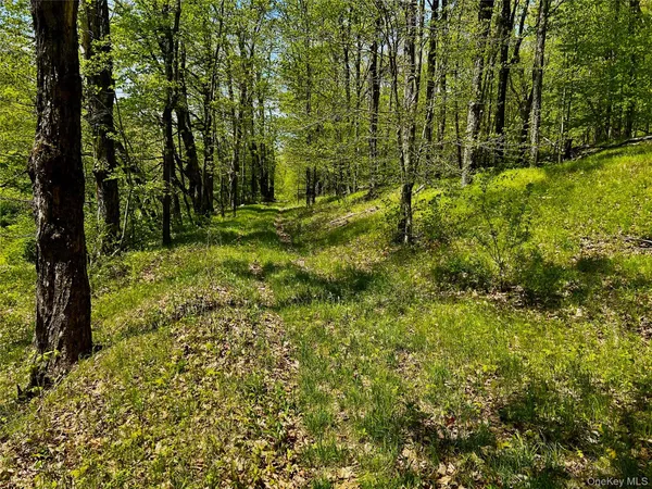 a view of outdoor space