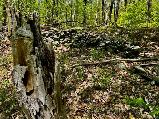 $2,999,000 | 0 Dugway, Austerlitz, NY 12017