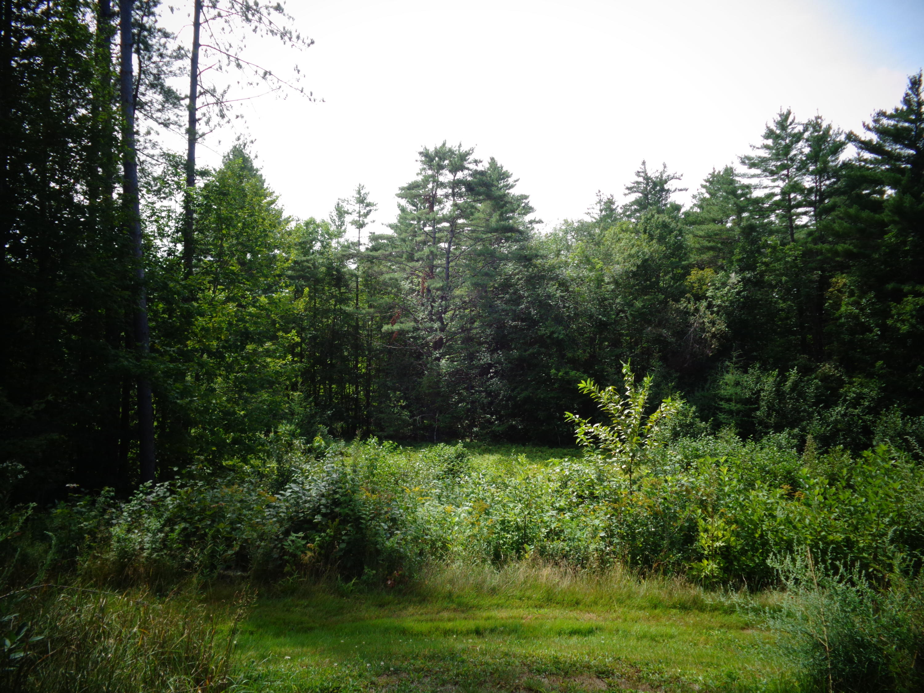 300 Wilson Stream Road Willimantic, ME 04443 - Photo 61 of 84 DSC03962