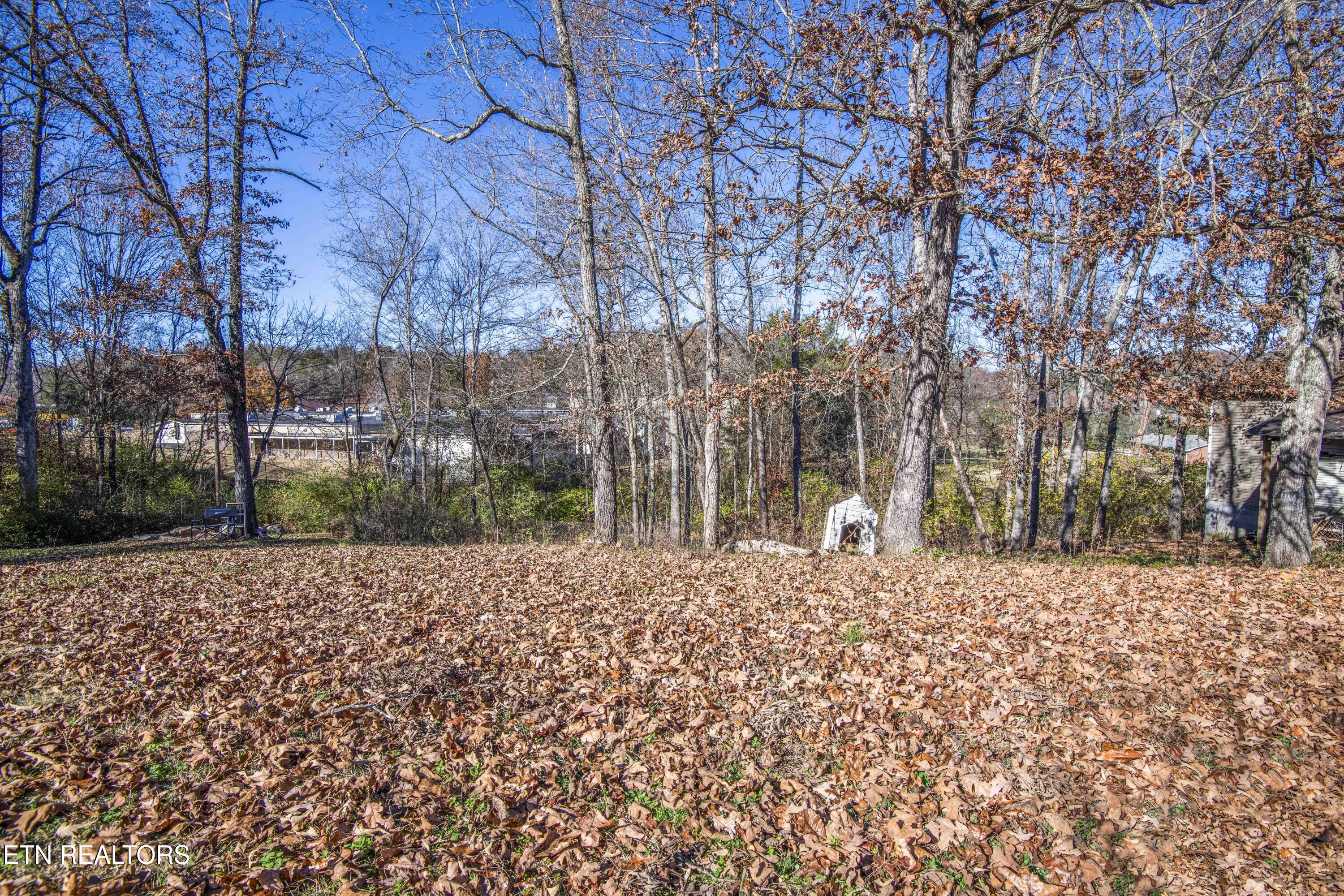 2381 Classic Way Powell, TN 37849 - Photo 34 of 45 yard 3