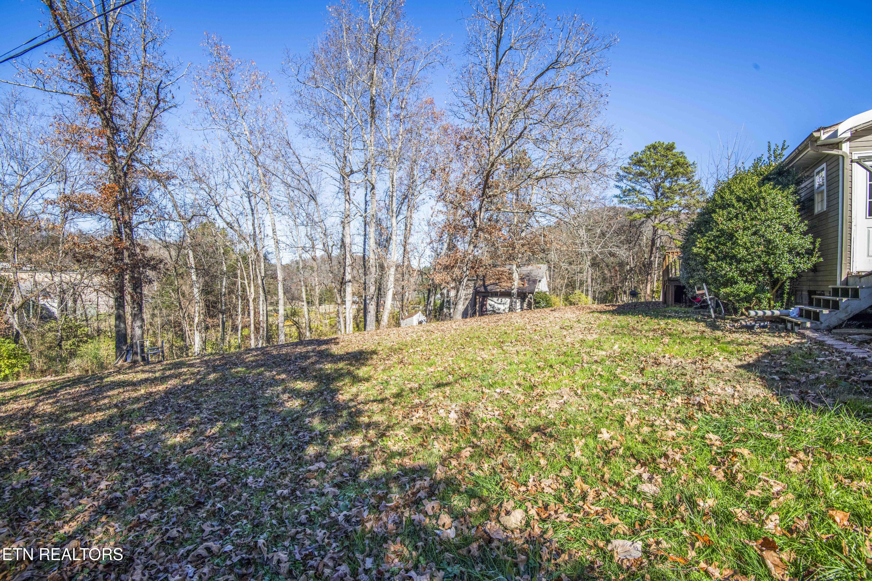 2381 Classic Way Powell, TN 37849 - Photo 36 of 45 yard 1