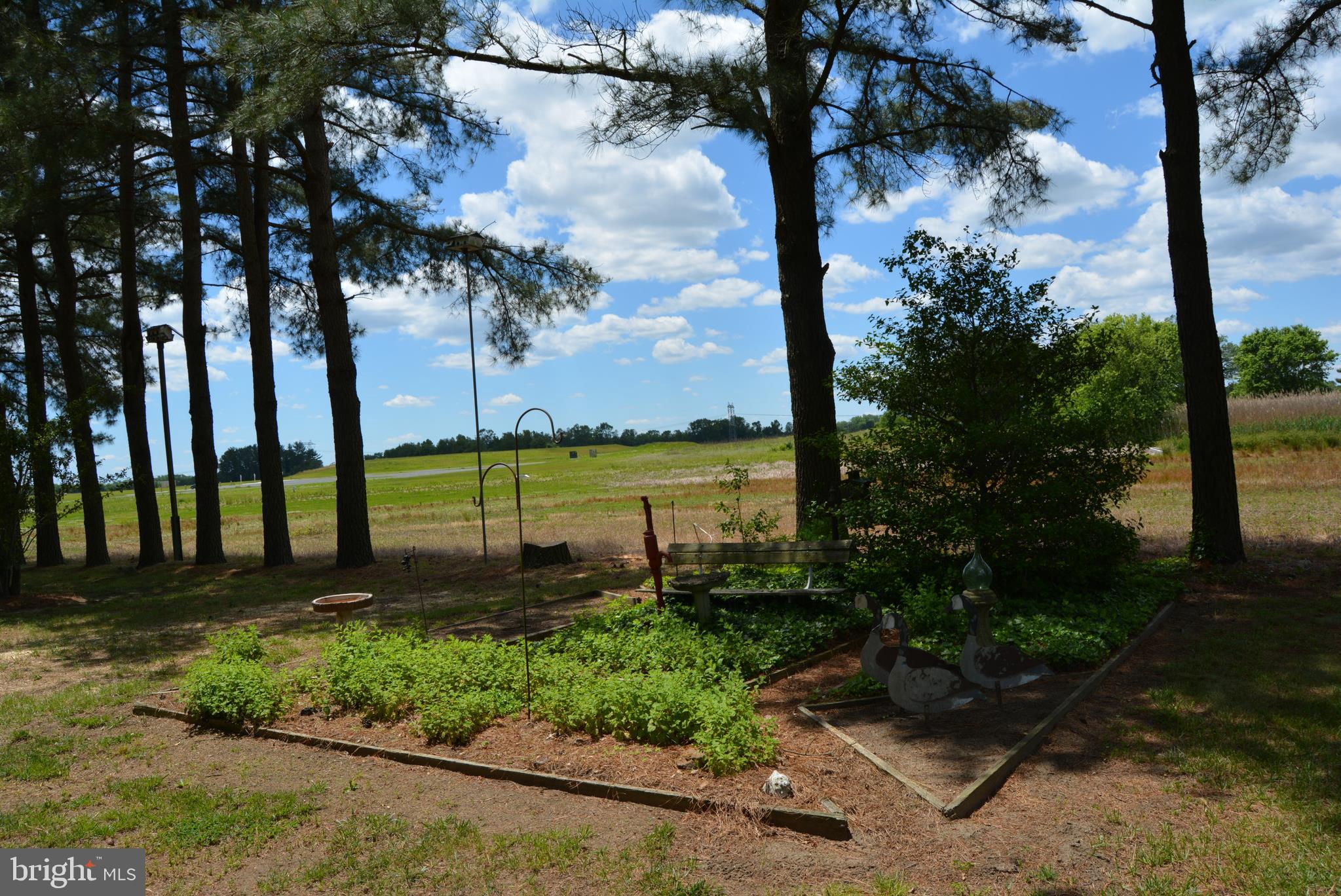 469 Red Lion Road Southampton, NJ 08088 - Photo 36 of 45 a view of a park with a tree