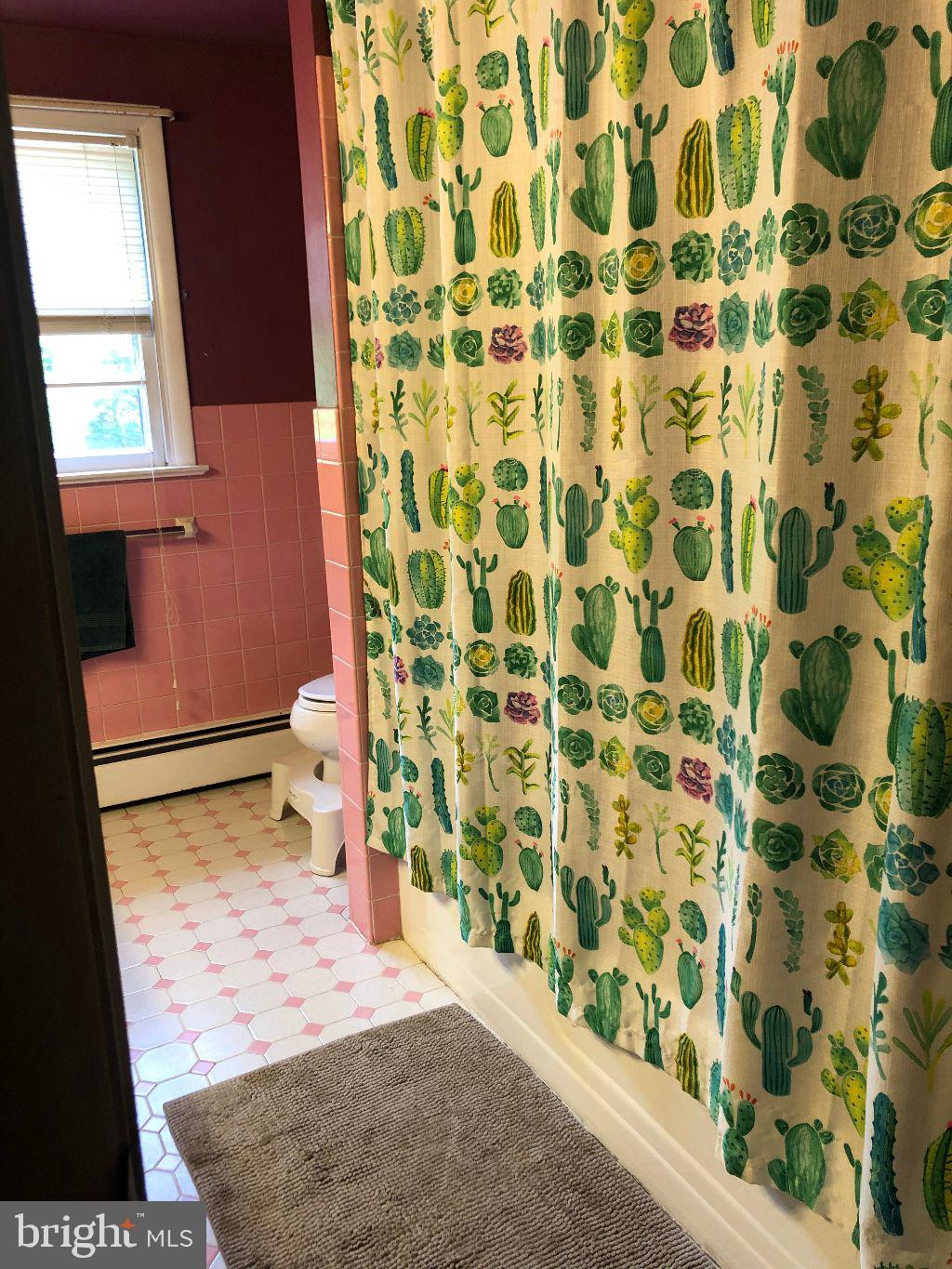 1616 Clearview Road Lansdale, PA 19446 - Photo 11 of 25 Main bathroom
