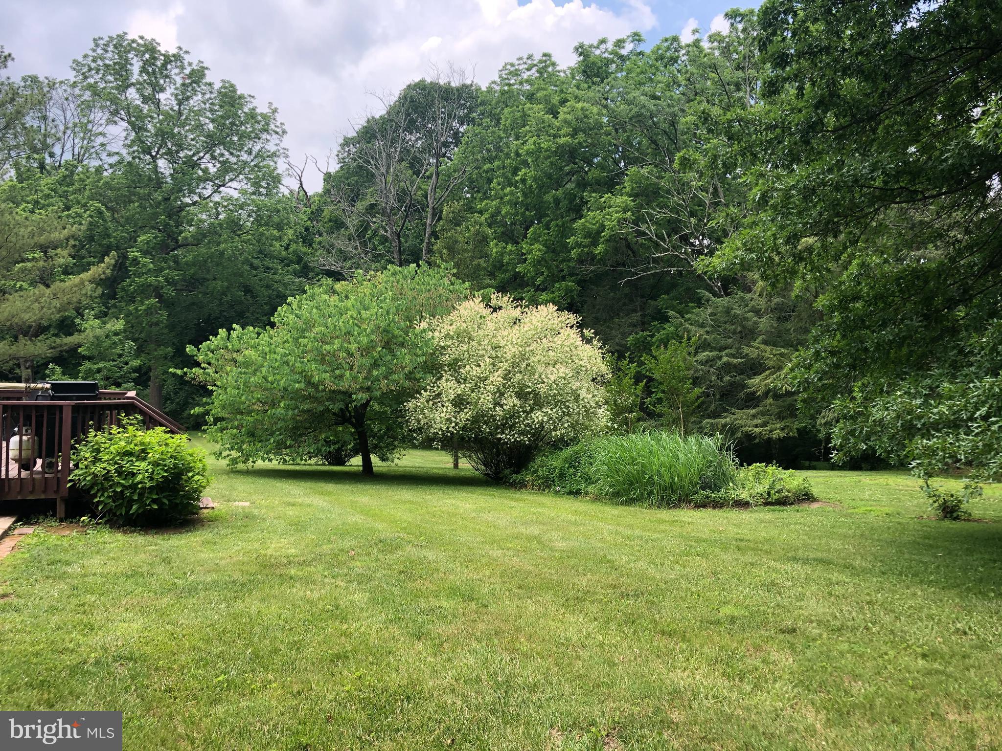 1616 Clearview Road Lansdale, PA 19446 - Photo 23 of 25 Park like views
