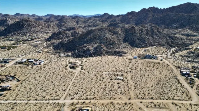 a view of a dry yard