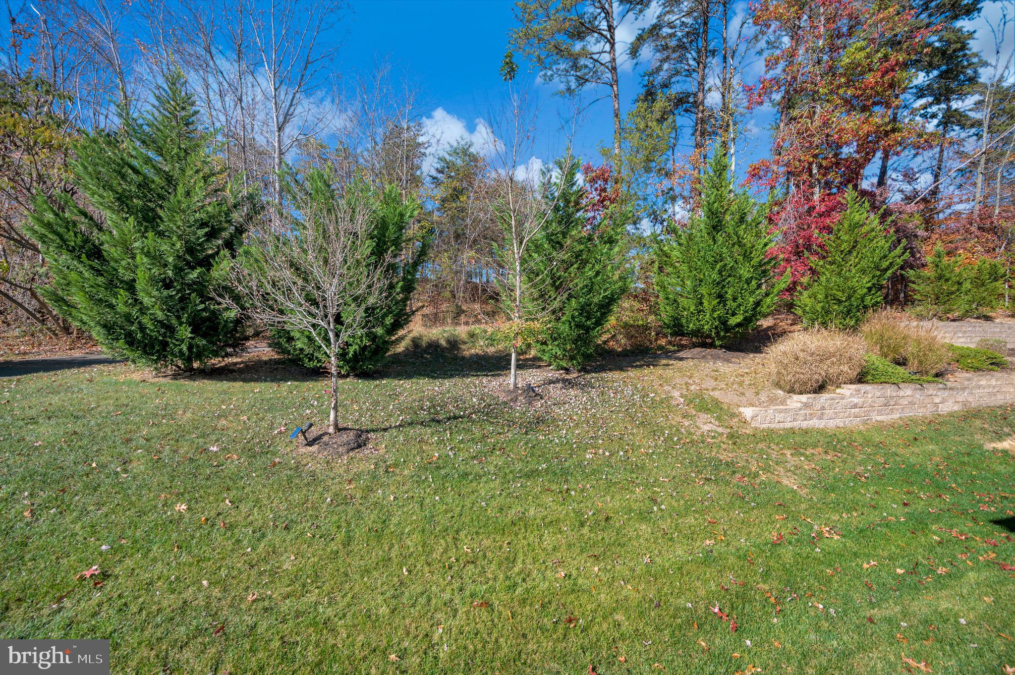 11 Shermans Ridge Road Stafford, VA 22554 - Photo 61 of 63 BACK OF PROPERTY #: 1