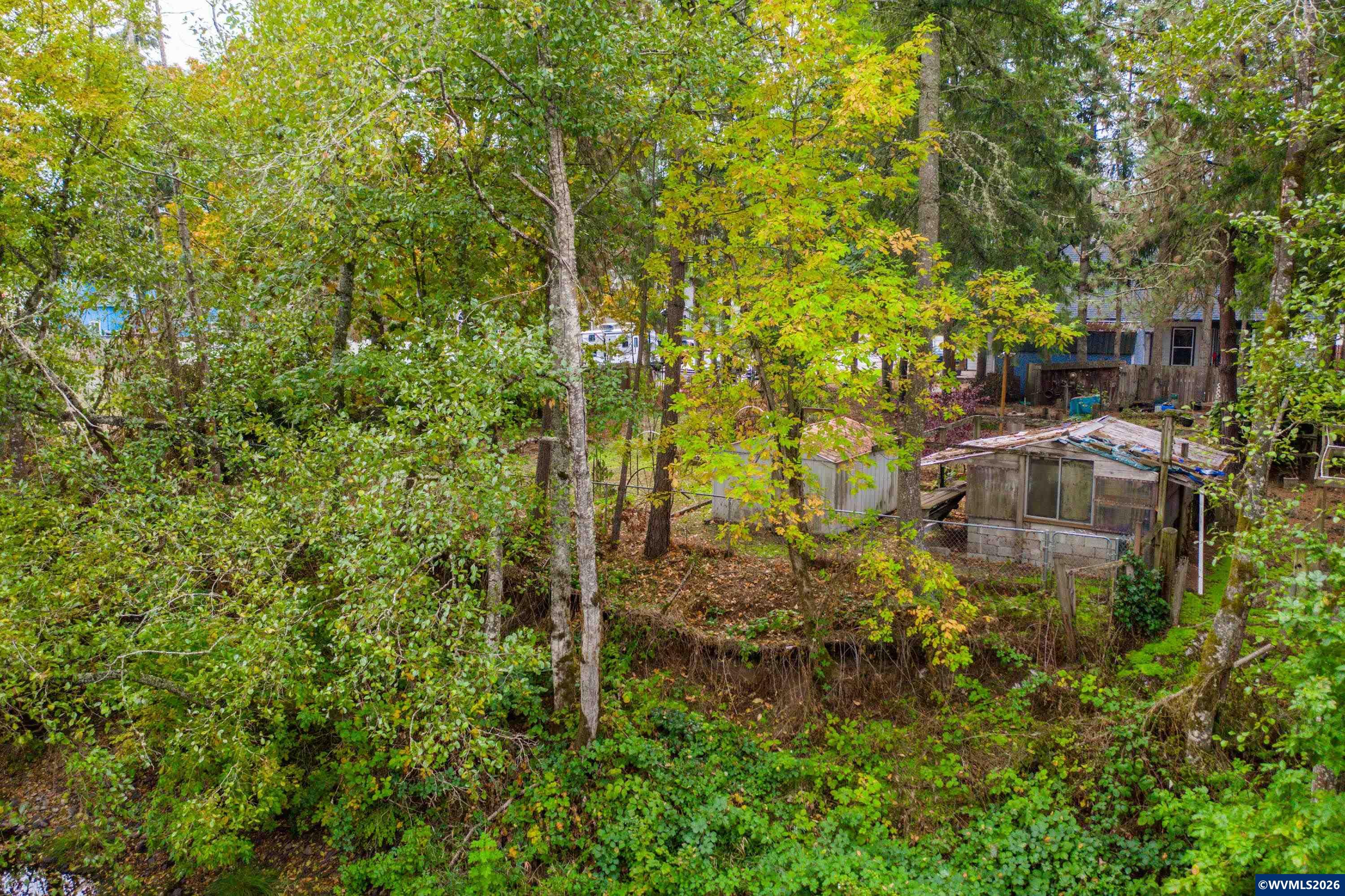 Lot 030100 Southwest Beech Street Scio, OR 97374 - Photo 24 of 41