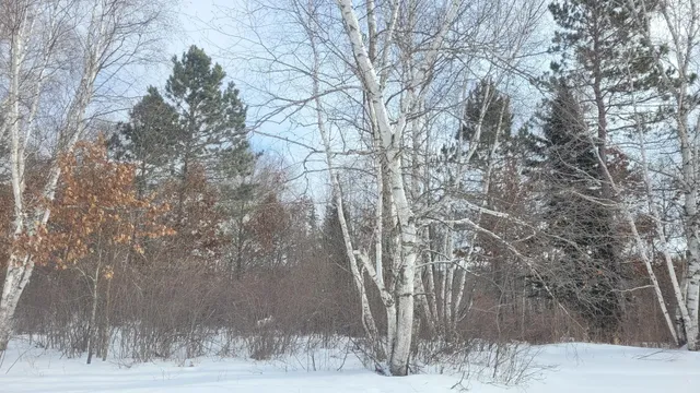 $295,000 | 2286 32nd Avenue Southwest, Pine River, MN 56474