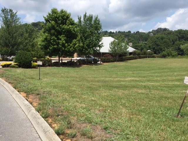 Center Street Sevierville, TN 37862 - Photo 2 of 5 IMG_0718