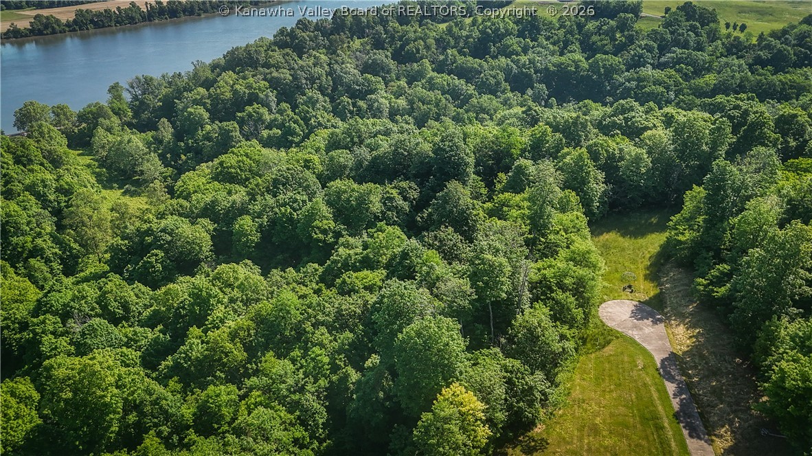 0 River Cv Road Mount Alto, WV 25264 - Photo 4 of 13 Gallery Image 4