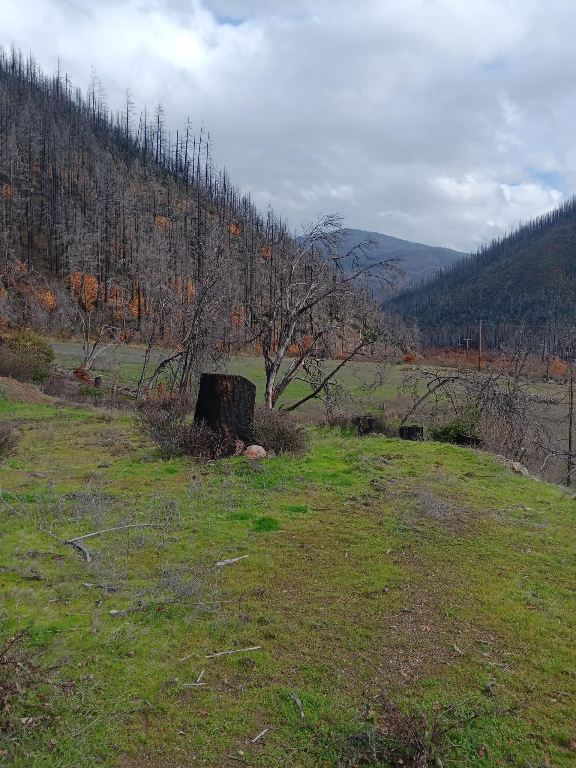 1225 South Fork Road Happy Camp, CA 96039 - Photo 7 of 15 Gallery Image 7
