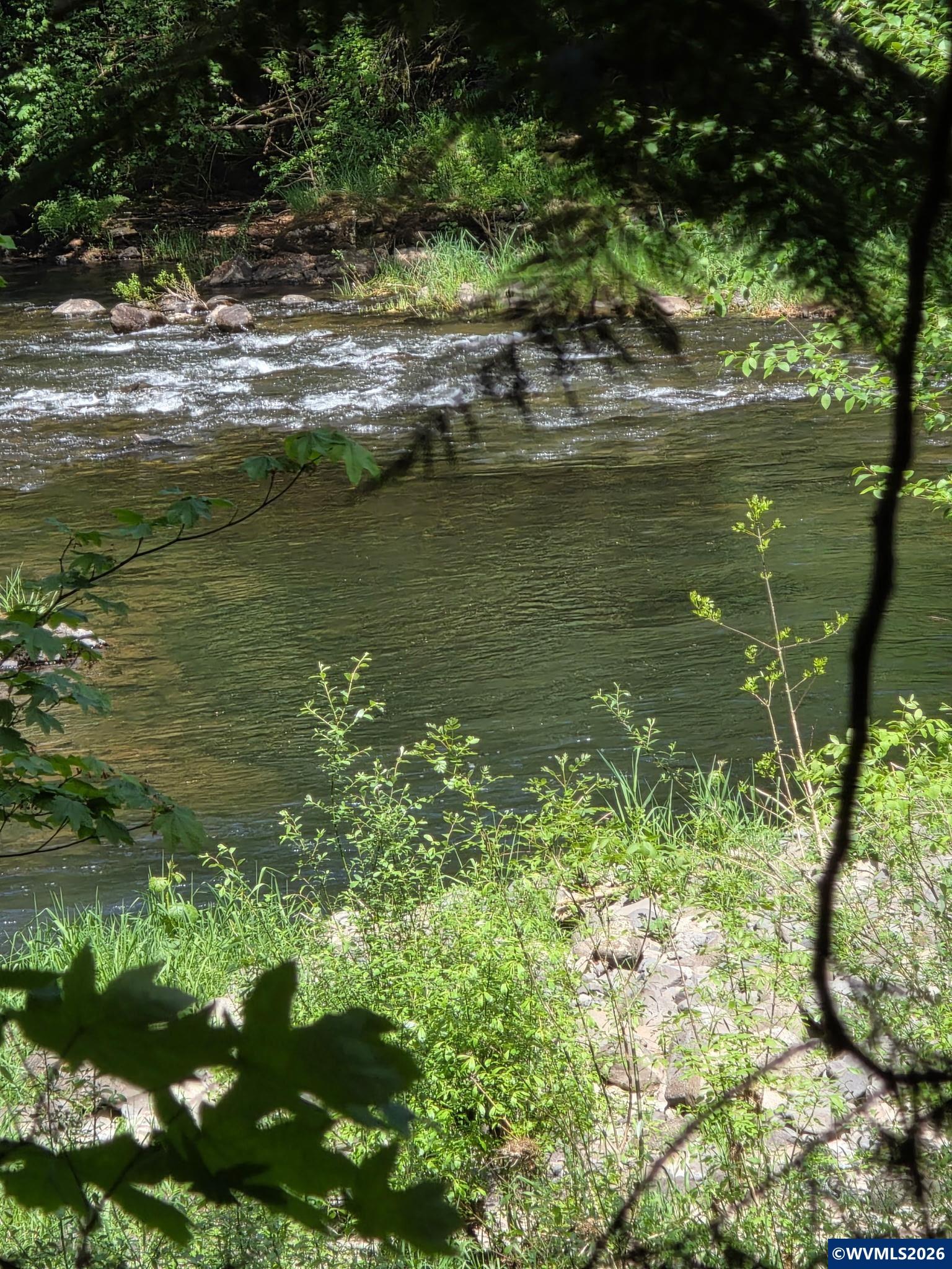 Lot 500 Lewis Cemetery Road Southeast Silverton, OR 97381 - Photo 9 of 9