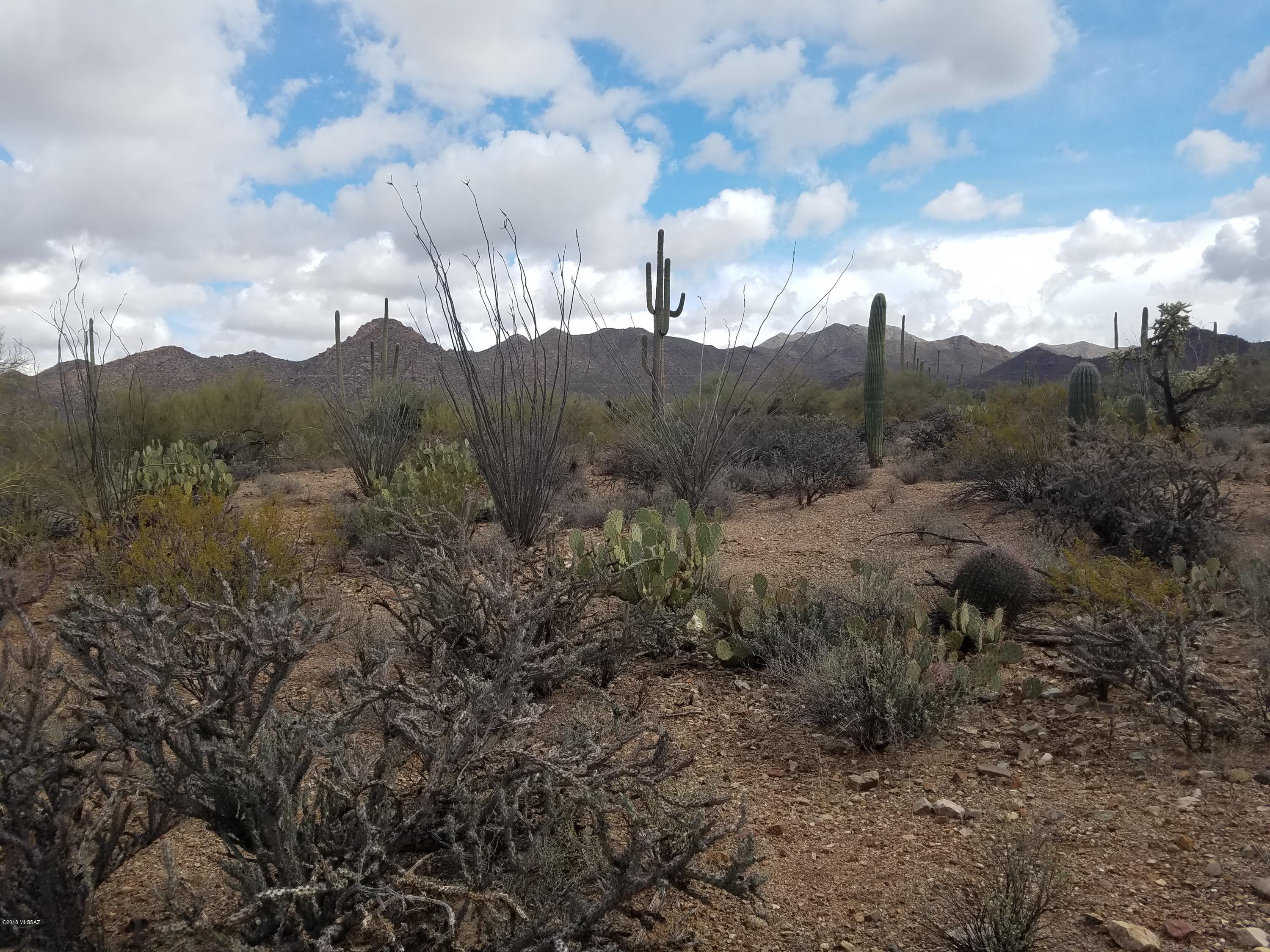 0 West Mile Wide Road Tucson, AZ 85743 - Photo 9 of 11