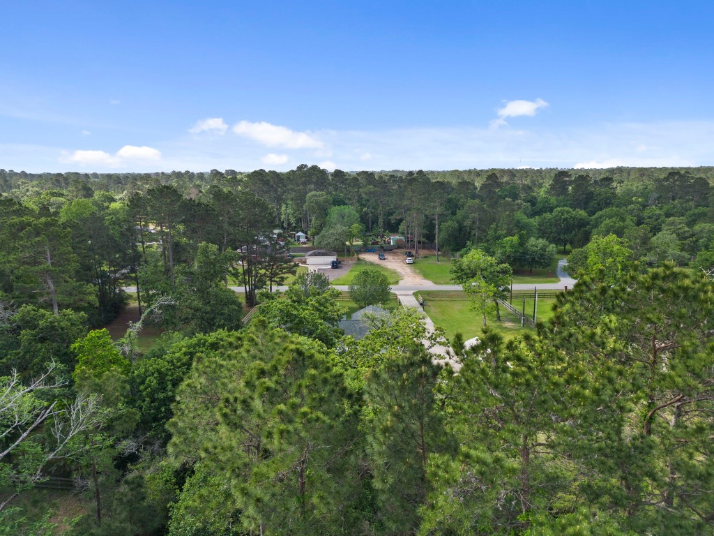 23200 Baneberry Road Magnolia, TX 77355 - Photo 34 of 39