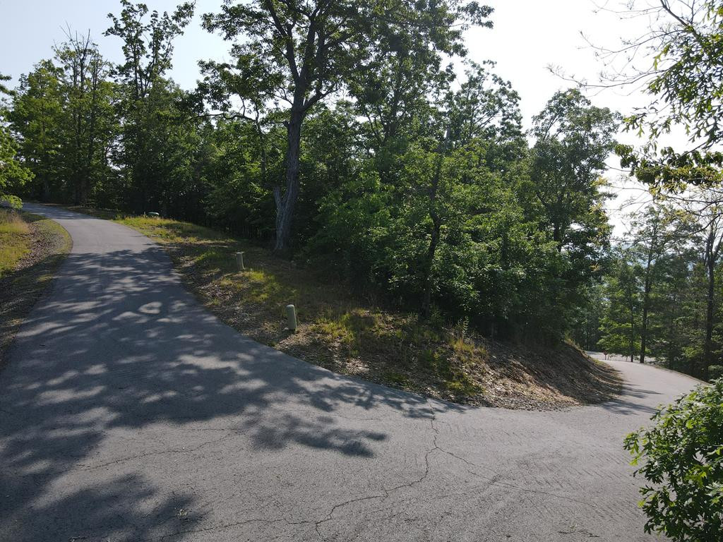 Lot 20 Patriot Ridge Murphy, NC 28906 - Photo 12 of 36 Gallery Image 12