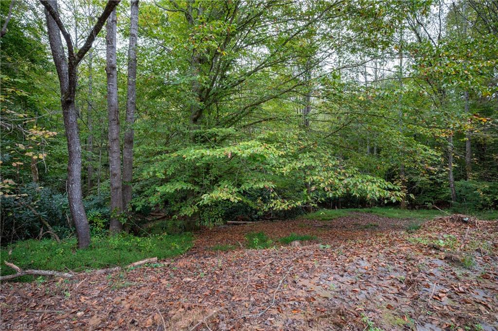 157 Cedar Point Drive Mount Airy, NC 27030 - Photo 30 of 35