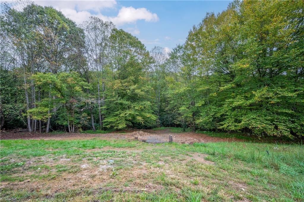 157 Cedar Point Drive Mount Airy, NC 27030 - Photo 31 of 35