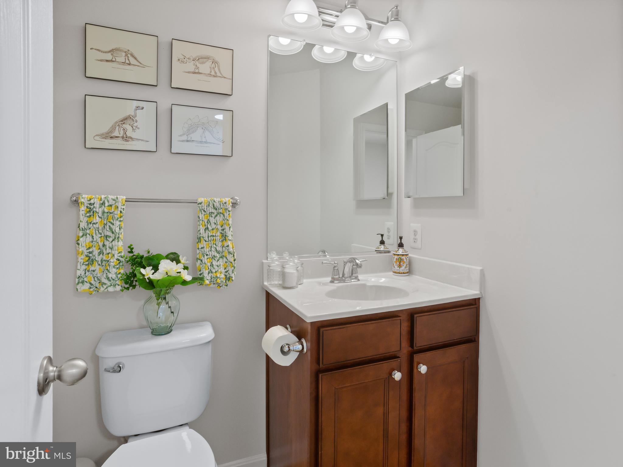 30 Arenas Court Capitol Heights, MD 20743 - Photo 21 of 33 Full Bath