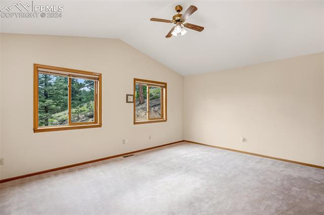 8549 Cedar Mountain Road Divide, CO 80814 - Photo 22 of 31 Gallery Image 22