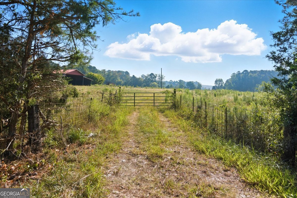 0 Runyon Loop Cedartown, GA 30125 - Photo 4 of 23