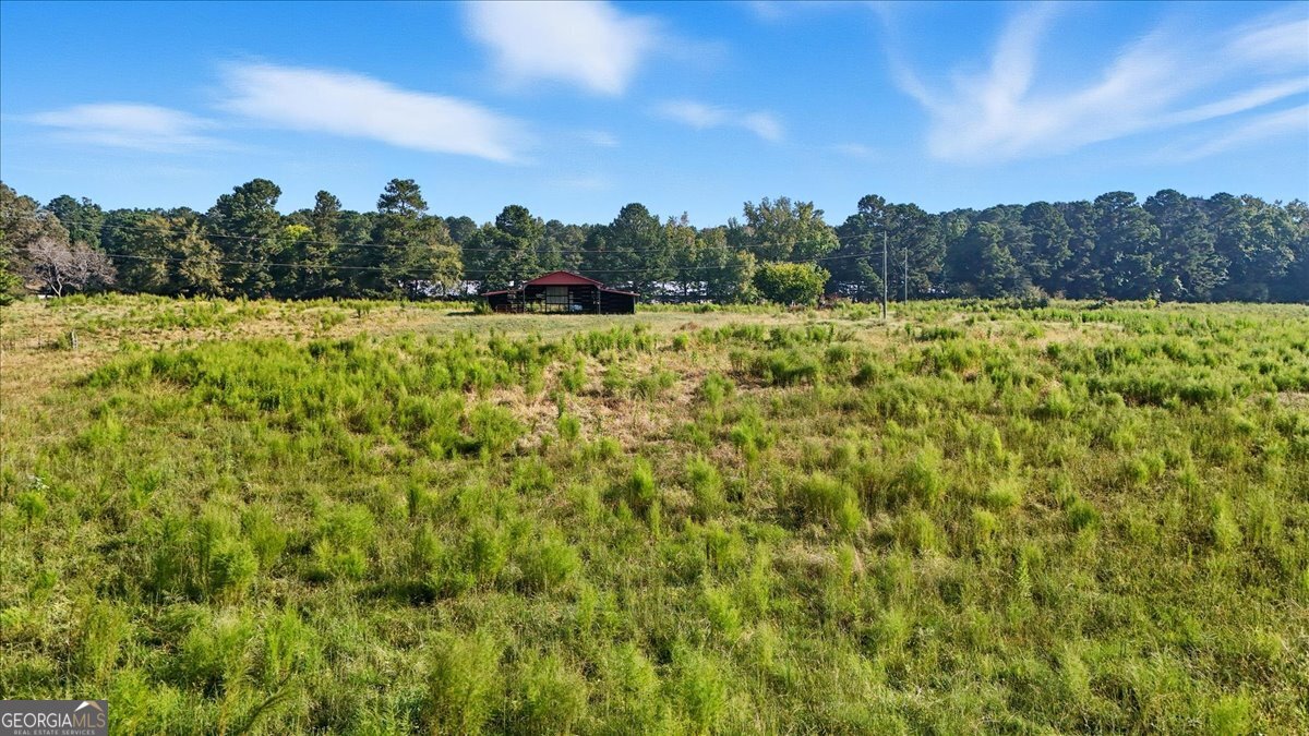 0 Runyon Loop Cedartown, GA 30125 - Photo 5 of 23