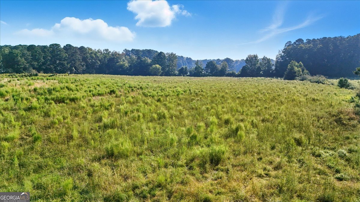 0 Runyon Loop Cedartown, GA 30125 - Photo 6 of 23
