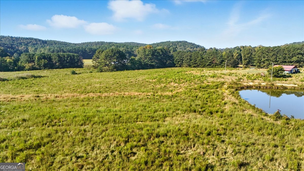 0 Runyon Loop Cedartown, GA 30125 - Photo 7 of 23