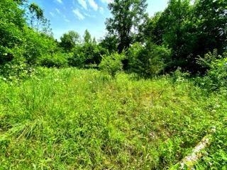 24319 Highway 60 Trunk Muscoda, WI 53573 - Photo 11 of 18