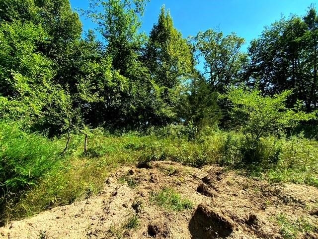 24319 Highway 60 Trunk Muscoda, WI 53573 - Photo 14 of 18