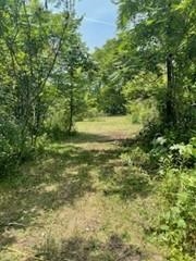 24319 Highway 60 Trunk Muscoda, WI 53573 - Photo 15 of 18