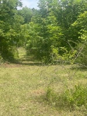 24319 Highway 60 Trunk Muscoda, WI 53573 - Photo 16 of 18